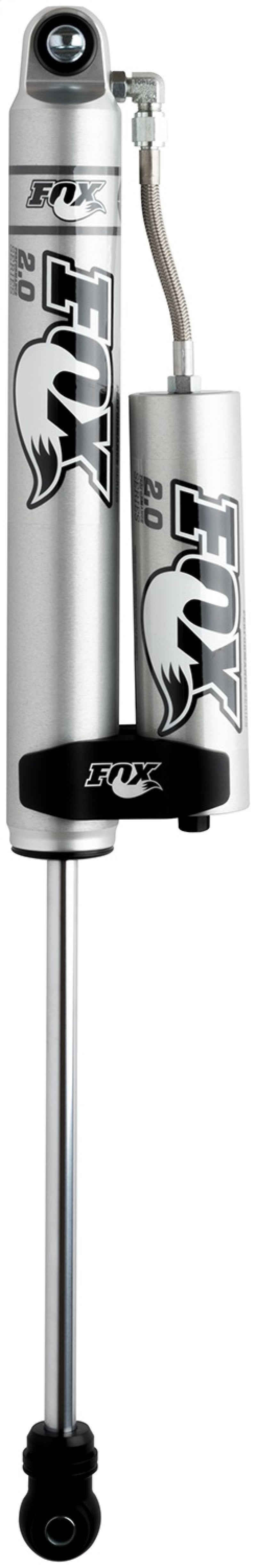 Fox Shox Stainless Steel Water Bottle Black